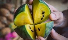 朝阳号外官网免费吃瓜,免费吃瓜盛宴，畅享夏日清凉！